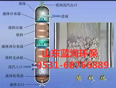 下部进入塔体的酸性有害气体与喷淋液呈逆流活动